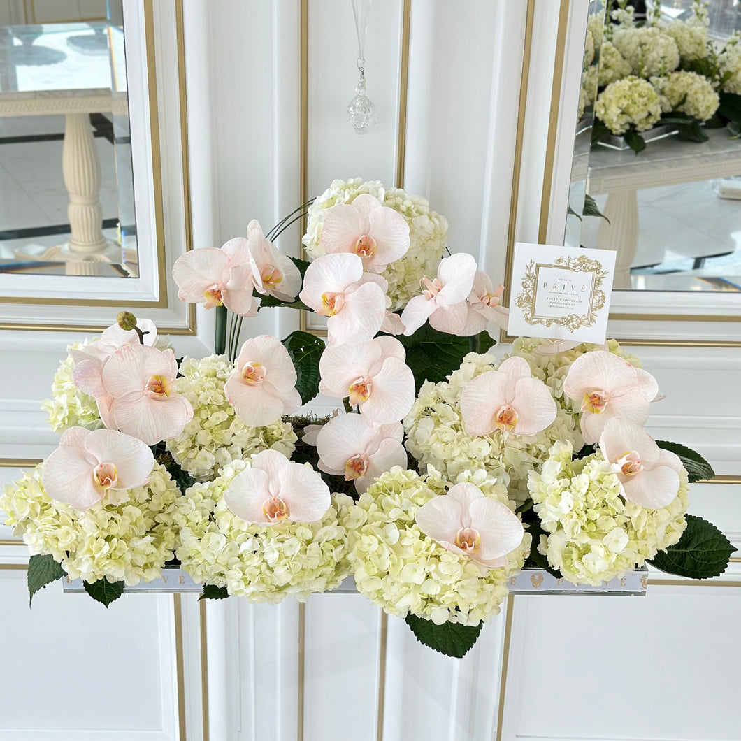Elegant Pink Orchid & White Hydrangeas Arrangement