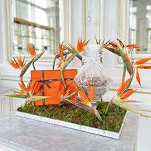 Load image into Gallery viewer, Elegant Amazonica Arrangement with Chocolate Bowl & Gift