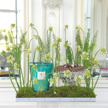 Load image into Gallery viewer, Candle & Crystal Bowl of Chocolates & Green Flower Arrangement