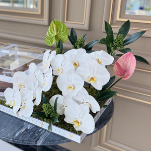 Arrangement with Cake in Gift Box And Orchid & Anthurium Flowers