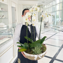 Load image into Gallery viewer, Botanica Orchids
