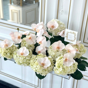 Elegant Pink Orchid & White Hydrangeas Arrangement
