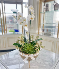 Load image into Gallery viewer, Golden Bloom Orchids
