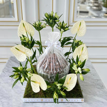 Load image into Gallery viewer, Elegant Anthurium Square Arrangement with Chocolates
