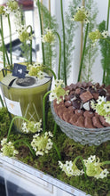 Load image into Gallery viewer, Candle &amp; Crystal Bowl of Chocolates &amp; Green Flower Arrangement
