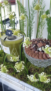 Candle & Crystal Bowl of Chocolates & Green Flower Arrangement